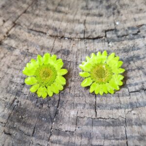 PENDIENTES PEGADITOS