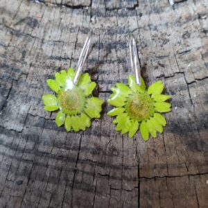 Margaritas Verde Acid