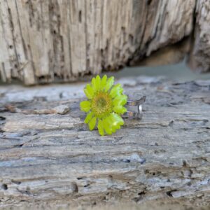 Margarita verde acid